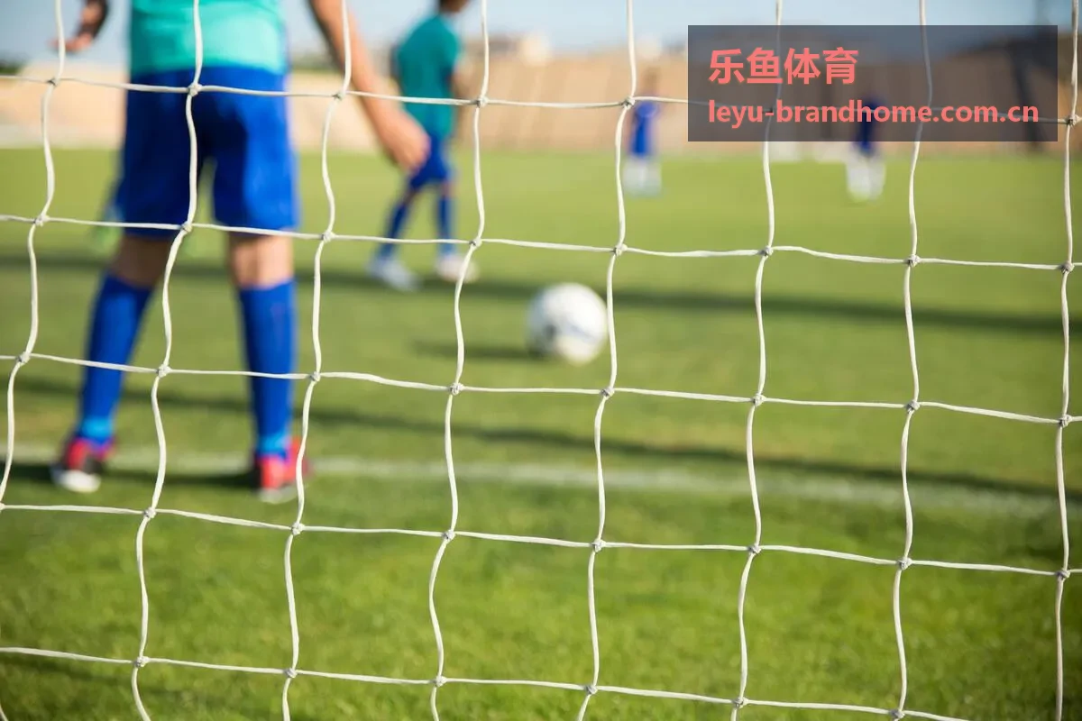 乐鱼体育赛事直播封面图